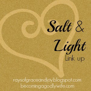 Salt & Light Link up  {Rays of Grace & Joy}