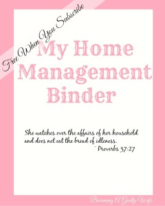 This printable includes everything you need to get your home moving in tip top shape. It is free for my subscribers!!! 