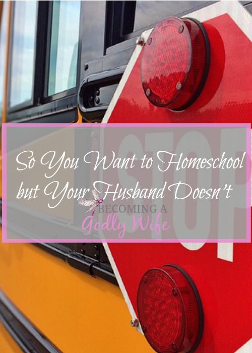 So You Want to Homeschool but Your Husband Doesn’t