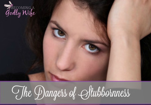 The Dangers of Stubbornness