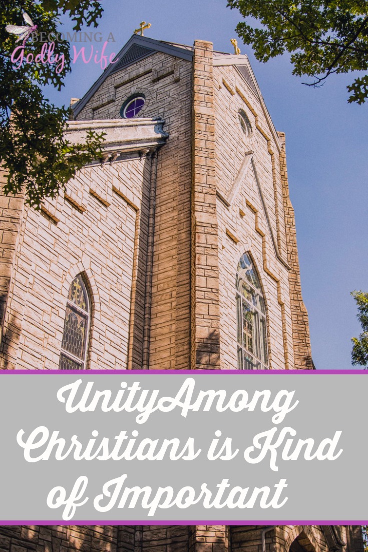 Unity among Christians seems to be something that has been forgotten. Yet, unity among Christians is something that is important if we are to be effective. 