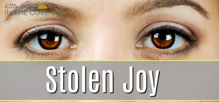 Stolen Joy