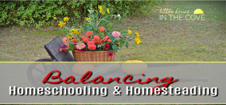 Balancing homeschooling and homesteading can be tricky. However, it is completely doable. Here are some ways that we are keeping the two balanced and in check.